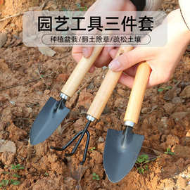 家用种花小铲子园艺工具三件套绿植多肉松土铁铲铁铁锹盆栽花铲