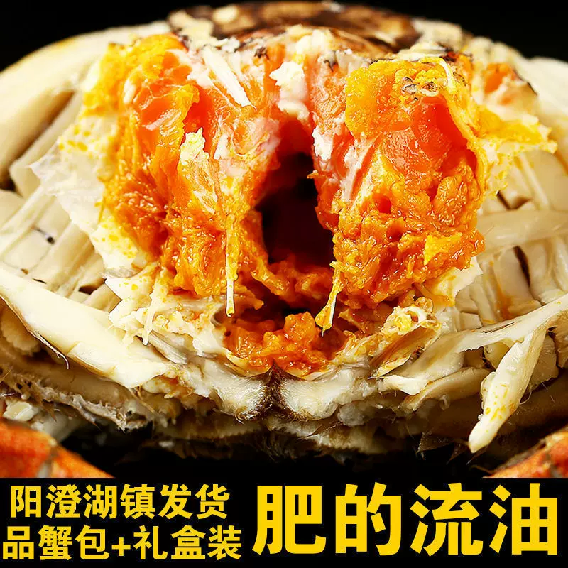 大闸蟹现货鲜活螃蟹5.0两公母蟹河蟹全母活蟹批发海鲜包邮苏州发