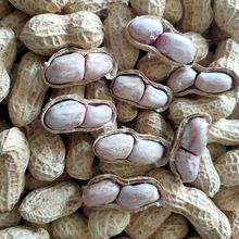 水煮白晒咸花生批发价水煮盐花生晒干足秤包装不含防潮包干燥剂