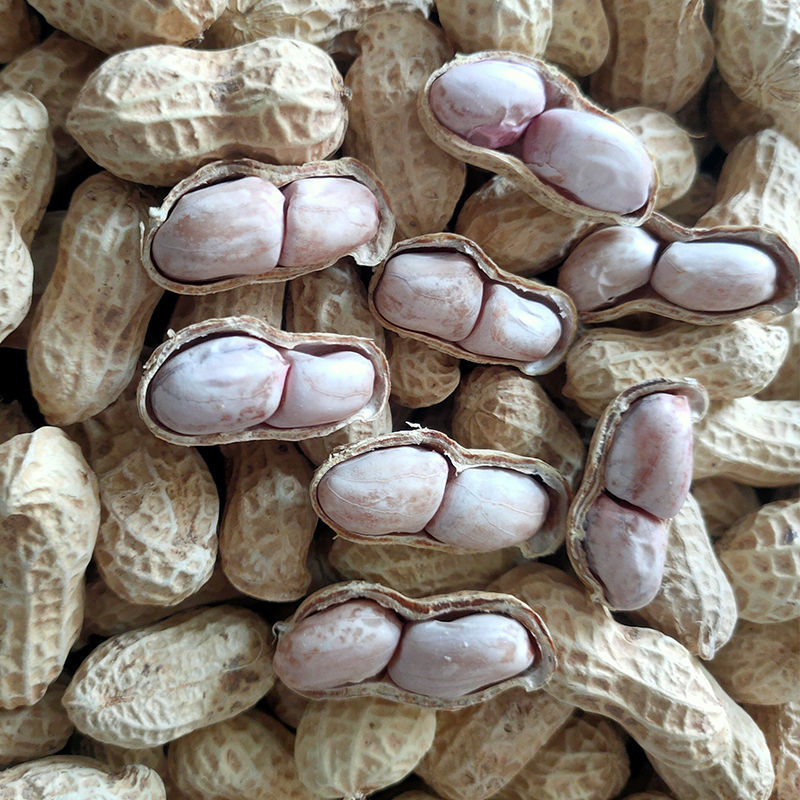 水煮白晒咸花生批发价水煮盐花生晒干足秤包装不含防潮包干燥剂