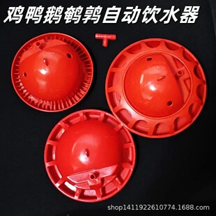 �ˮ���g���Ԅ��Ԅ�ιˮ���r�u�ˮ��ι�u�����u���B�u����ˮ��