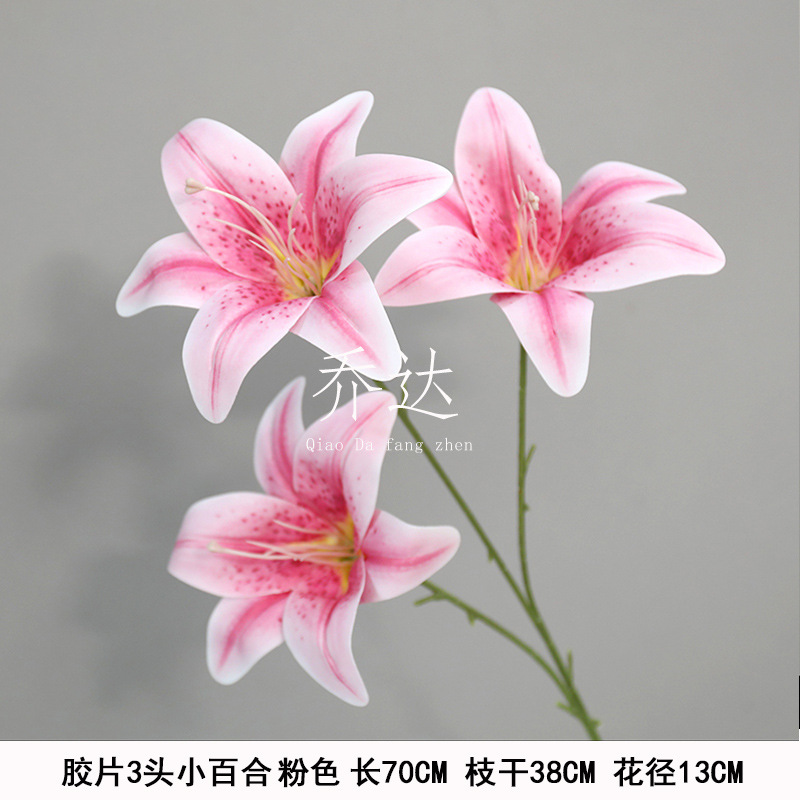 Film 3 little lilies