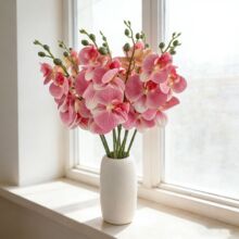 �����m���滨3D��ӡ�zƬ�ָ��b��m���Ҿ��b�Y��ˇ�廨�ٻ�