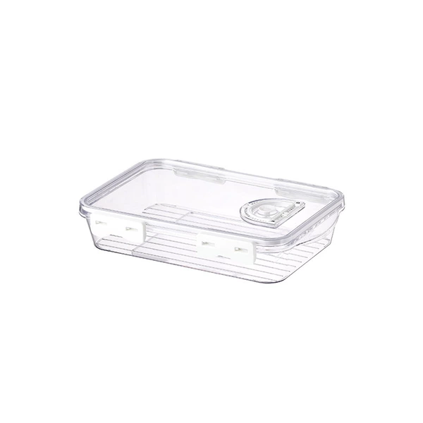 Refrigerator dumpling box is transparent