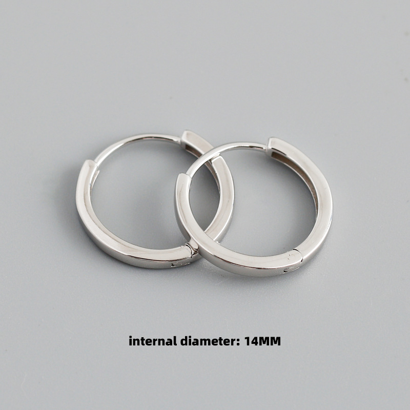 Mode Kreis Sterling Silber Überzug Ohrringe 1 Paar display picture 20