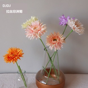 ���޾����z���� ��֧���滨��c�Ҿ��bٻ�����̫ꖻ�