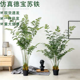 仿真绿植德宝苏铁仿真蕨类假树高端轻奢风落地造景仿生植物盆栽