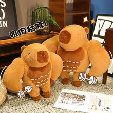 �W�t���⿨Ƥ������ż���ȱ������|���նY��ë�q������lˮ�๫��