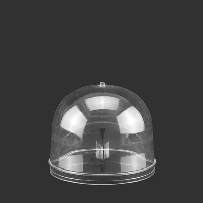 Factory for 70mm Dental caliber 25g gram PET Plastic bottles Food grade transparent Wide mouth bottle Produce Manufactor