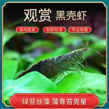 �ښ��r�r��������~��ϳ����r�坍�~���^�p�r�ݸ׵�ˮ�ش󹤾��r