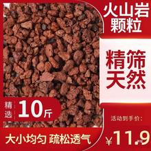 多肉火山岩颗粒土红火山石铺面石头纯颗粒20斤兰花用多肉土营养土