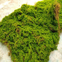 Simulated moss, flocked turf, stone bonsai decoration, simulated plant wall green plants, artificial decoration, fake moss