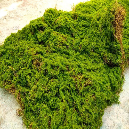 Simulated moss, flocked turf, stone bonsai decoration, simulated plant wall green plants, artificial decoration, fake moss