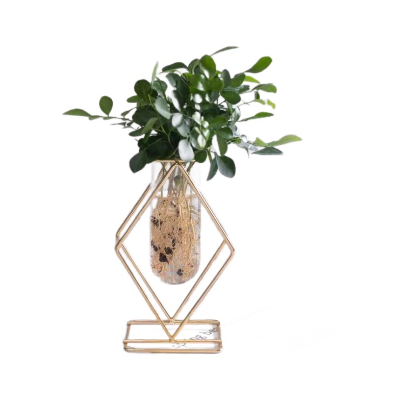 Fábrica al por mayor creativo hierro florero decoración del hogar transparente vidrio flor titular flor seca hidropónica verde planta flor Decoración