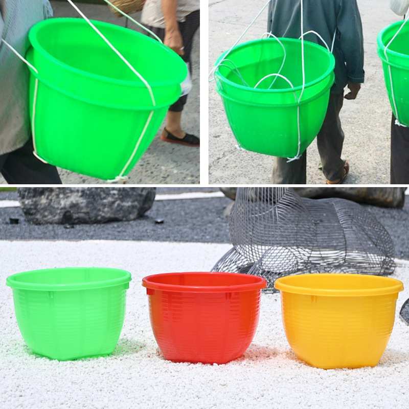 プラスチックのトランクは竹が食糧を編むのを防ぎます。|undefined