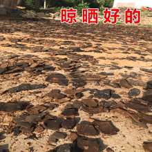 �����߲˷������������֥��֥������ӽ���~1�ﻨ�ܷN������5