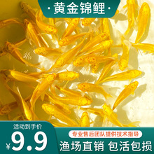 �\�����~�~���~���~���B�ͻ���ˮ�~�~����wС���~�^�p�~