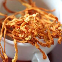 �x�ݻ���؛���l��Ʒɢ�b���r�x��-�x�ݻ���؛ �Ҝ�-��؛�o��