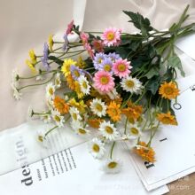 ����9ͷ3��С̫���ռٻ�������ʾռҾ�������װ�������յ�������