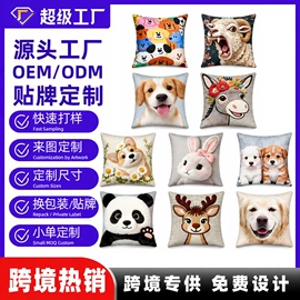 靠垫/抱枕;抱枕套;家用地毯