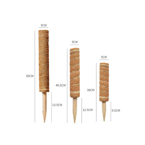 Plant vine traction climbing column natural coconut palm stick 30cm/40cm/50cm can be freely combined and spliced