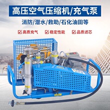 消防救援充气泵30mpa氧气瓶打气泵高压300公斤0.1立方100升空压机