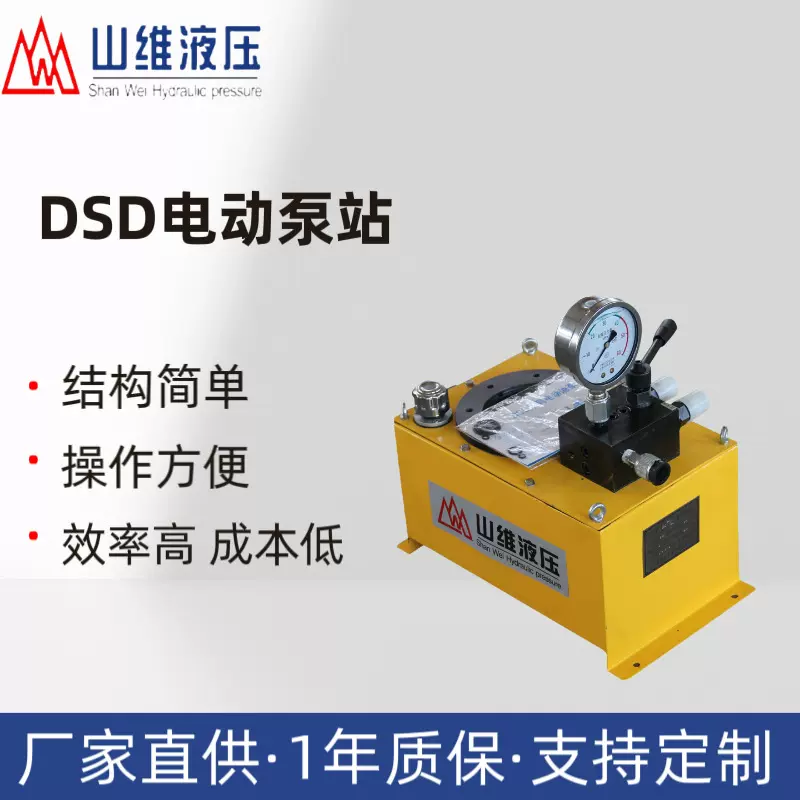 DSD单向超高压电动泵 德州液压液压系统超高压电动泵非标液压泵站