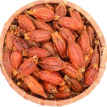 �d�ӹ�Gardenia fruit�u����ɫ��Ȼɫ�ؼt�d���S�d�������{��