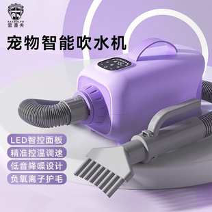 Cross-border pet water blower dog hair dryer high power low noise large dog golden retriever teddy pet drying box