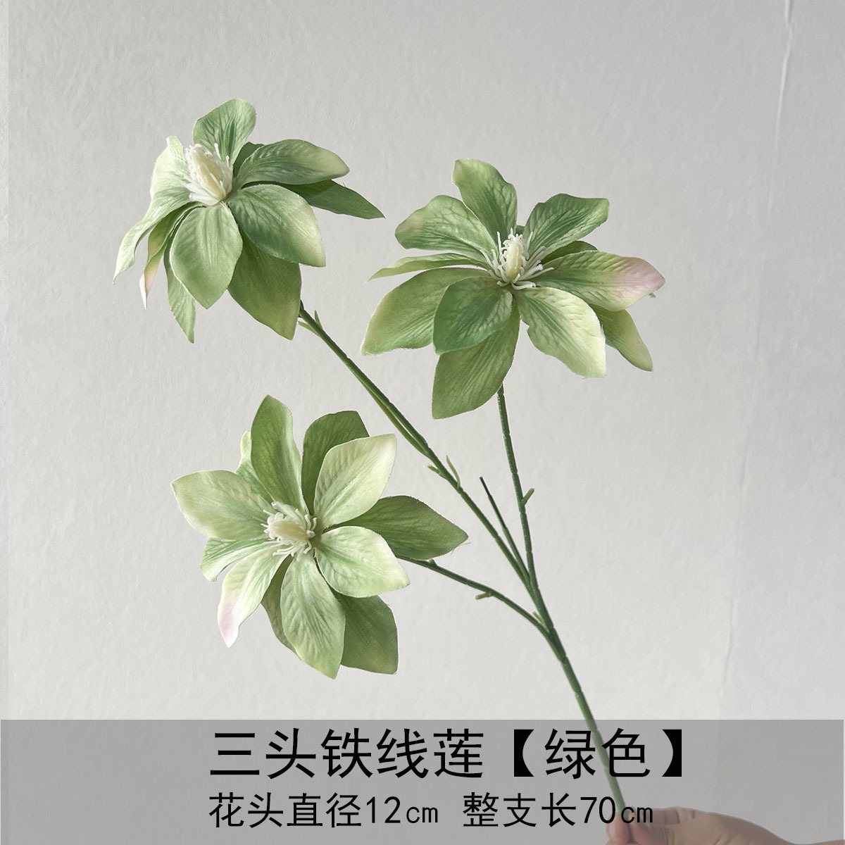 Clematis de tres cabezas - verde