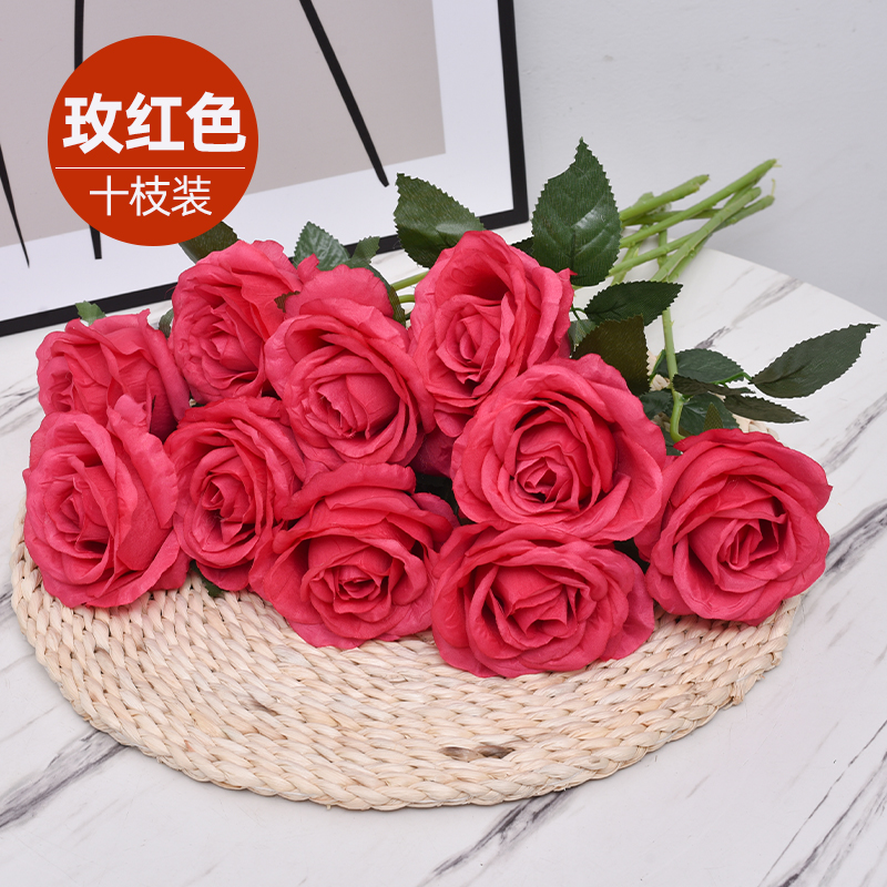 로즈 레드 빅 로즈 10 가지