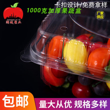 透明一次性水果盒果蔬盒可加工薄厚款草莓蓝莓荔枝打包盒水果盒