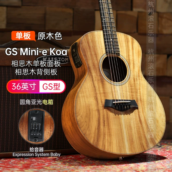 [10_GS Mini-e Koa 全相思木电箱]