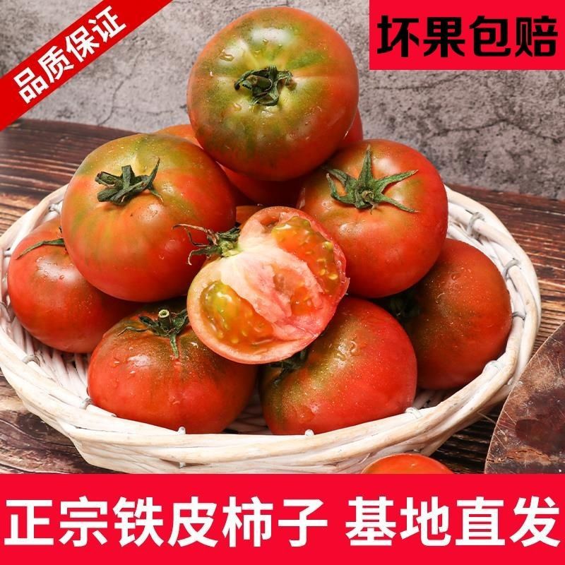 西紅柿丹東草莓柿子5斤新鮮自然熟鐵皮柿子盤錦堿地生吃水果番茄
