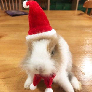 Pet Rabbit Dutch Pig Totoro Pet Ferret Christmas Hat Funny Variety Dress
