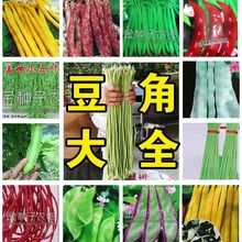 ���L���ǷN���ļ����t�����o�ܶ� ܿ�ⶹ���� �ض����߮a�ļ��߲�