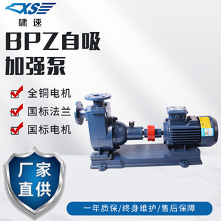 50BPZ-45  ZB25-45-4KW���I�������w�ӏ�����ˮ��������ʽ�x�ı�