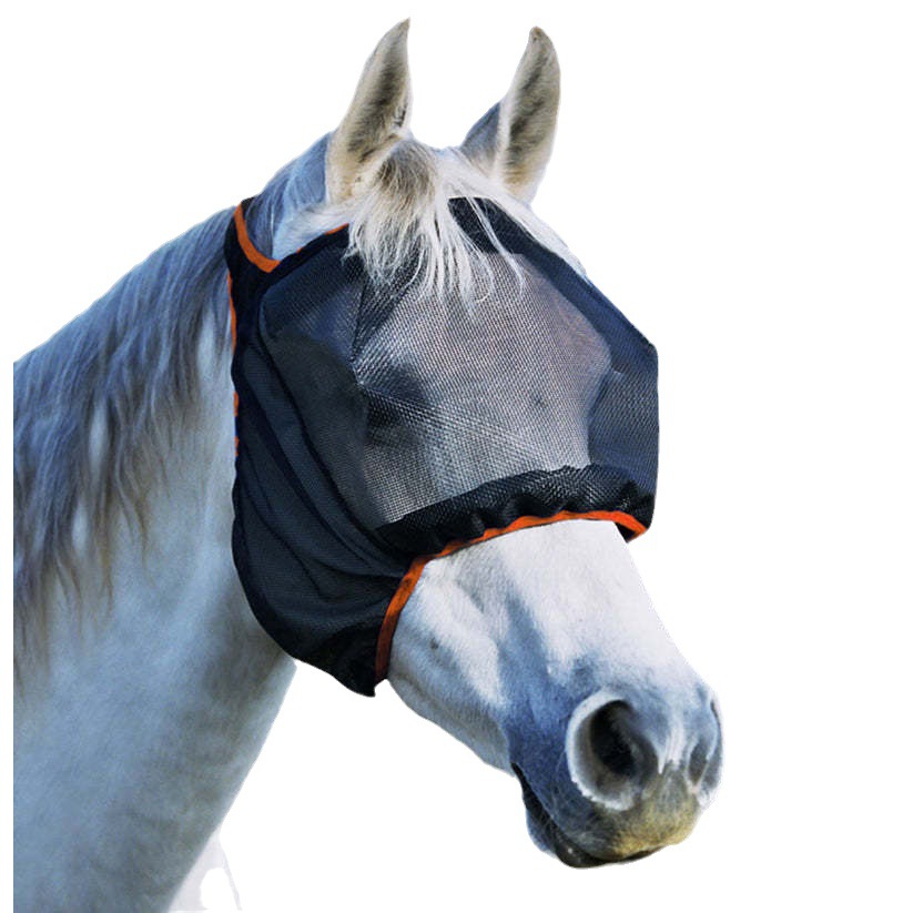 Name.jpg?x-oss-process=image/format,png