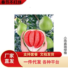 һ�����l���Ә���t�����ּ޽����t�����Ϸ�ͥԺ�Nֲ����Ԯ���Y