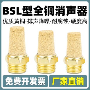 늴��y�L�^ȫ�~����BSL-M5 BSL-01�͸��g������