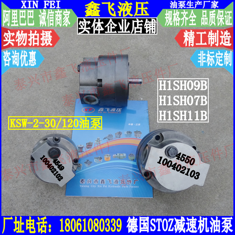 Flender H1SH11B减速机配套的100402103油泵现货STOZ 10040210