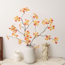 �ٻ�Сҹ�r���^��ɏ��֦INS�L���滨�S�ҼҾ��b�c���lMW16302