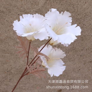 ����ľ�޻� ��c4�^���Ȼ���Y���b��ļٻ��͏d�廨��֦��誻�