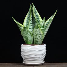 ߅Ƥmֲ҃ȿ͏dȩ՚Gֲβm绨