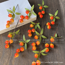 �����������^ССʯ���֦�Ҿ�ܛ�b�ٻ�����L�U��֦�b廨�[��