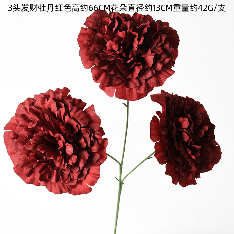 3머리 부자 모란 레드
