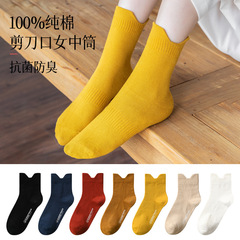 [Carefully Selected] Xinjiang Cotton Pure Cotton Long Socks Wholesale, Anti-Odor Japanese-Style White Women's Socks for Spring & Autumn, All-Cotton Mid-Calf Socks for Fall & Winter