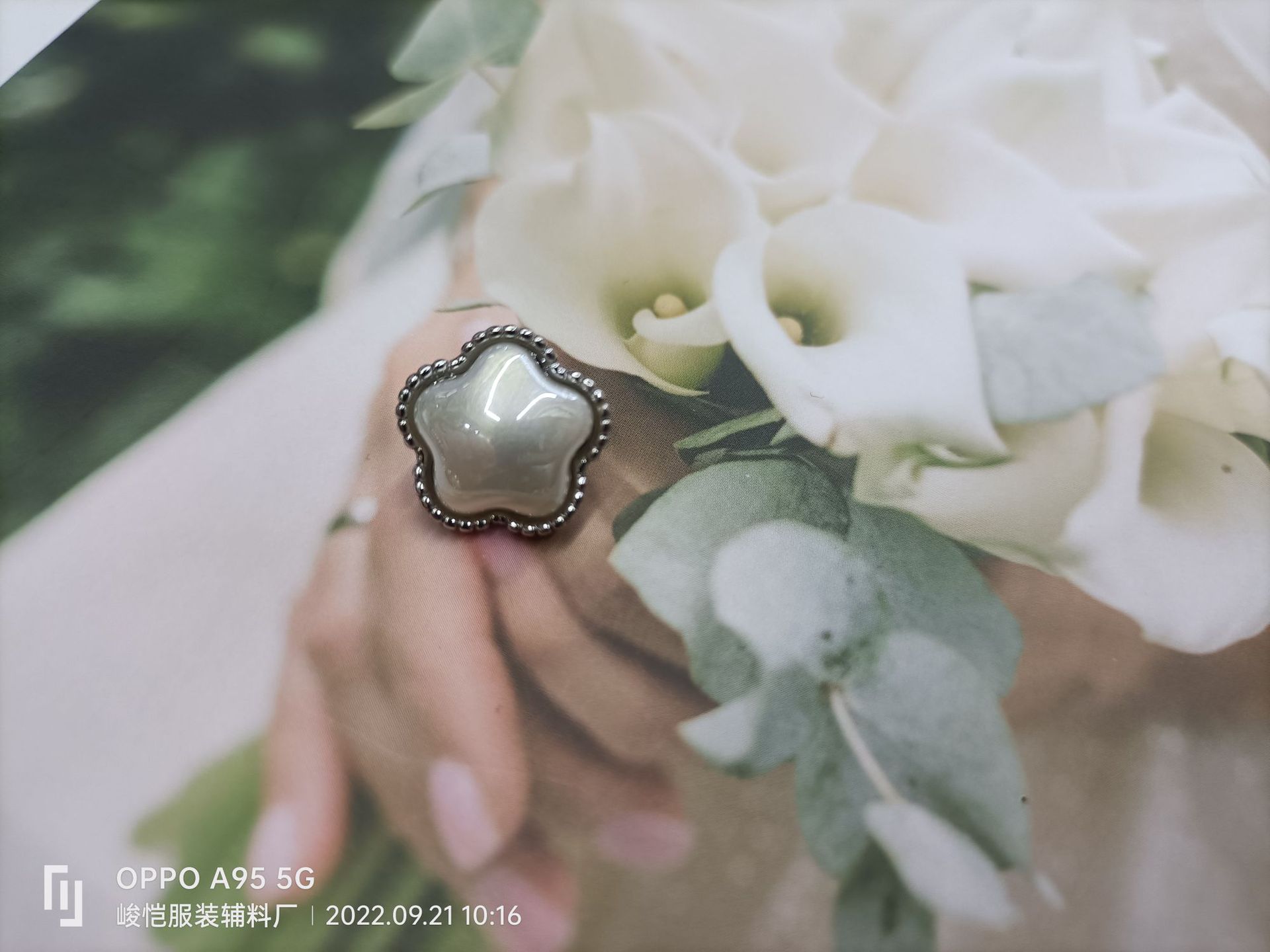 ba9cea8239698f9b434389a5706242