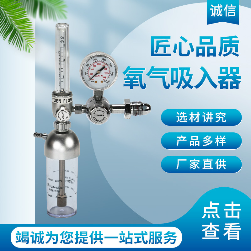 浮标式氧气吸入器医用气瓶减压阀家用氧气表流量压力表湿化瓶吸氧