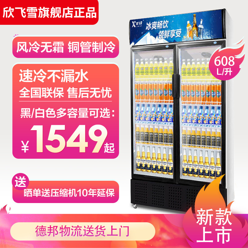 欣飞雪双门饮料柜商用冰柜啤酒双门立式冰箱超市冷藏保鲜风冷展柜|ru